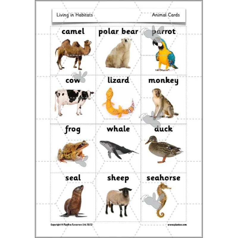 Living in Habitats - Image 13