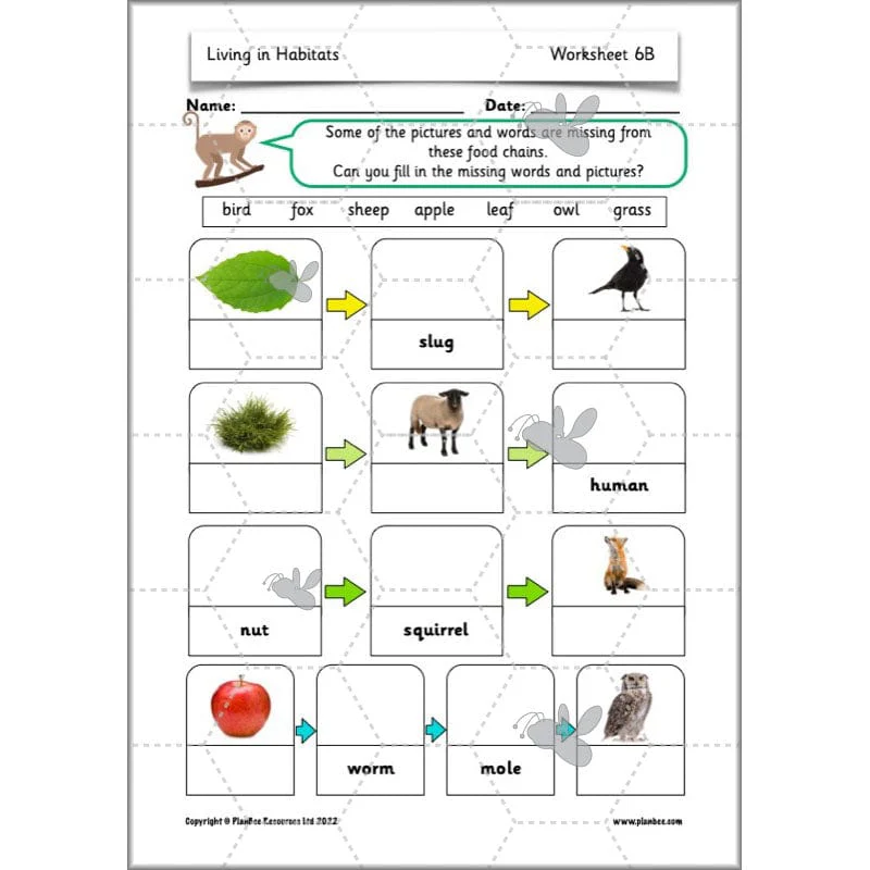 Living in Habitats - Image 15