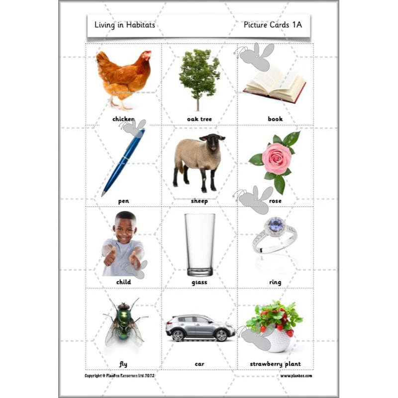 Living in Habitats - Image 25