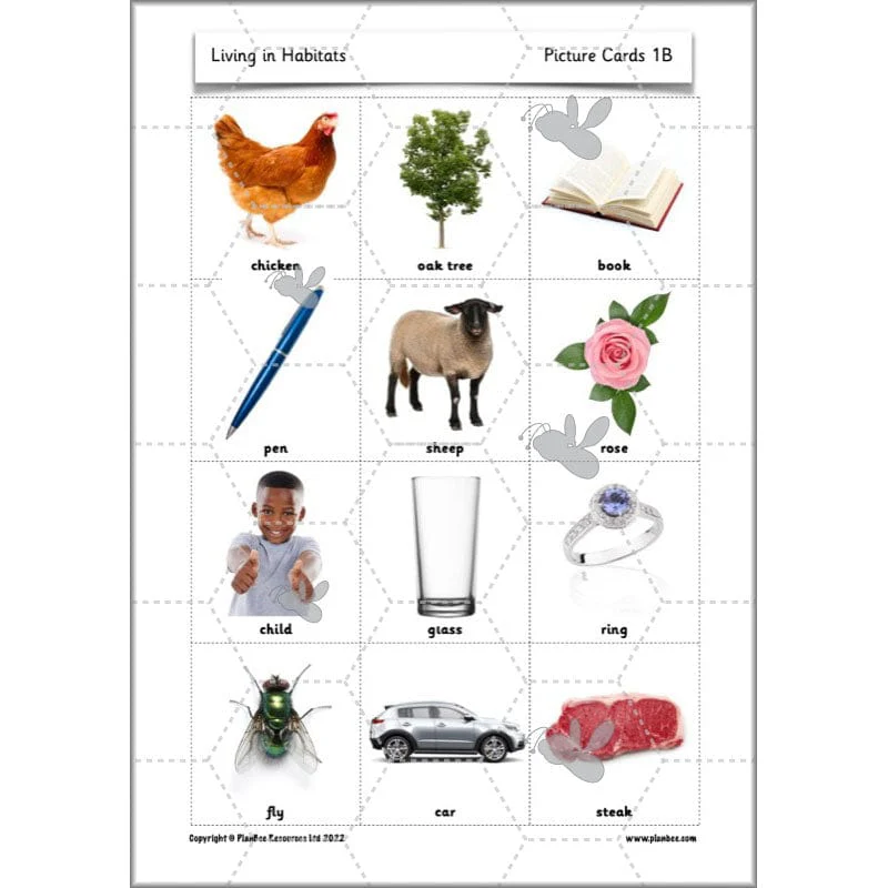 Living in Habitats - Image 26
