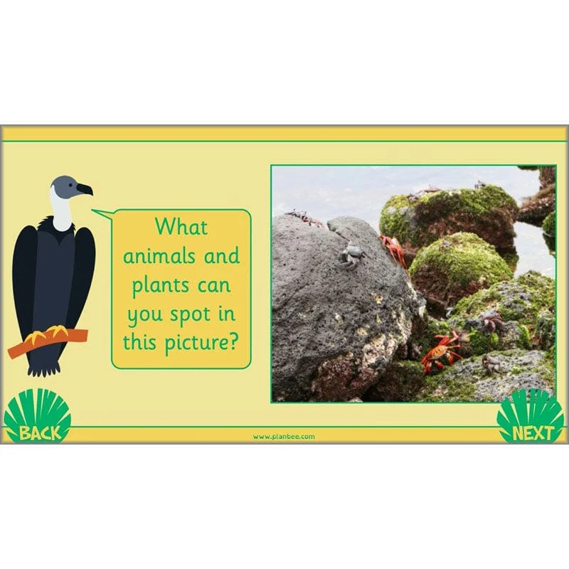 Living in Habitats - Image 39