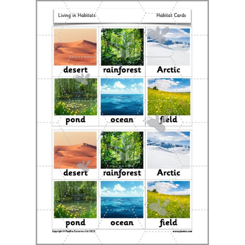 Living in Habitats - Image 51
