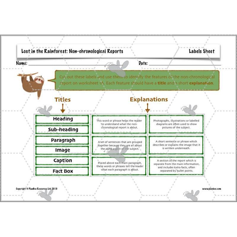 Lost in the Rainforest: Non-chronological Reports - Image 16