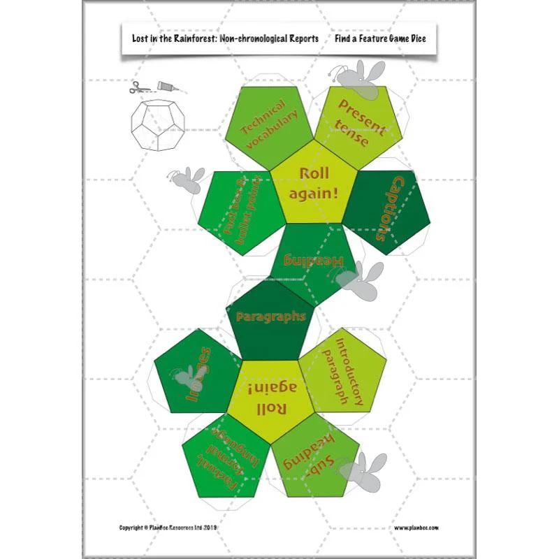 Lost in the Rainforest: Non-chronological Reports - Image 32