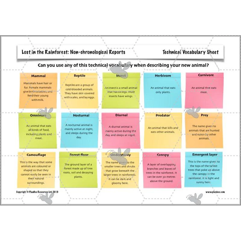 Lost in the Rainforest: Non-chronological Reports - Image 39