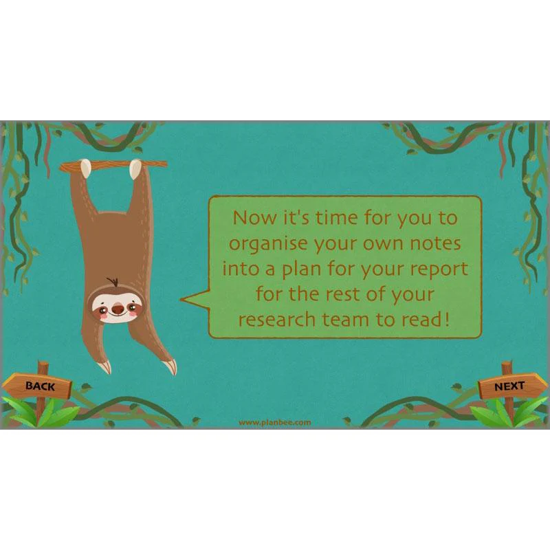 Lost in the Rainforest: Non-chronological Reports - Image 45