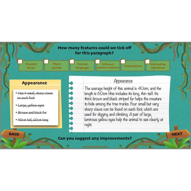 Lost in the Rainforest: Non-chronological Reports - Image 51