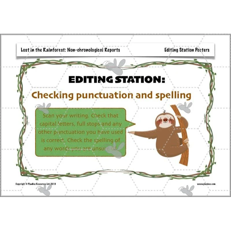 Lost in the Rainforest: Non-chronological Reports - Image 63