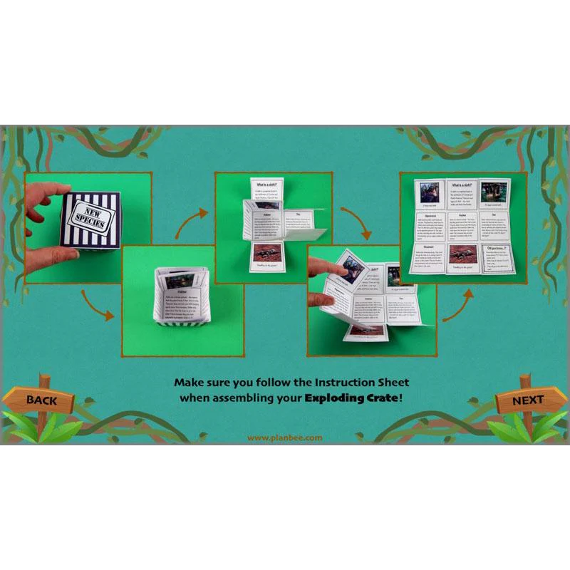 Lost in the Rainforest: Non-chronological Reports - Image 68