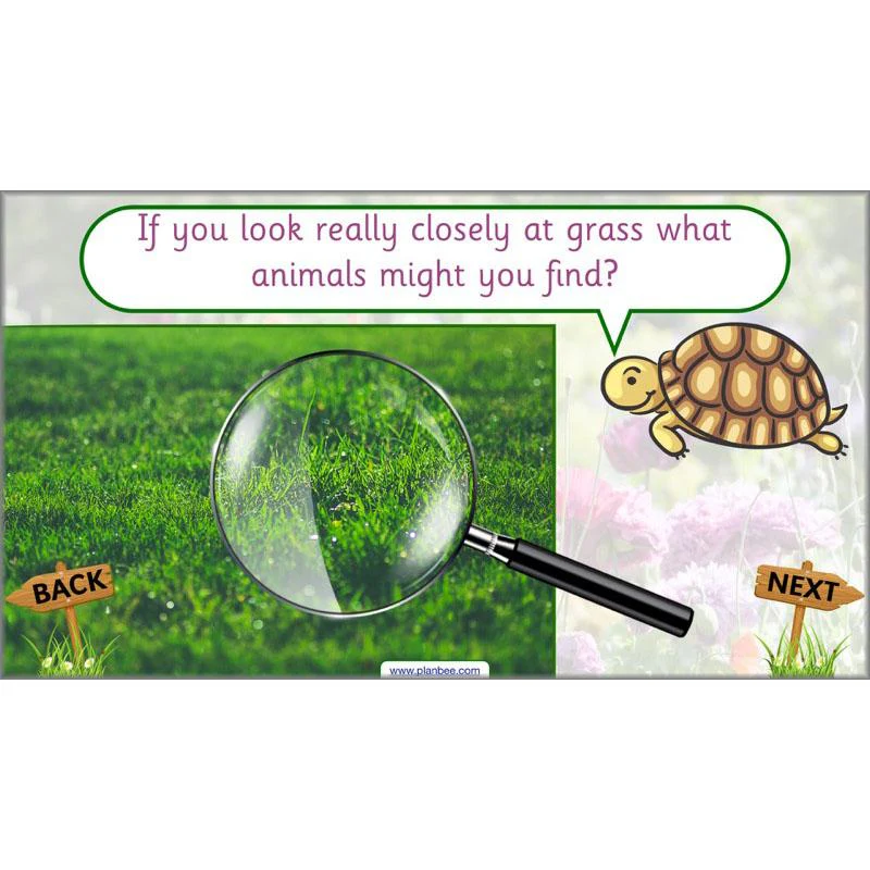 Pets and Gardens - Image 10