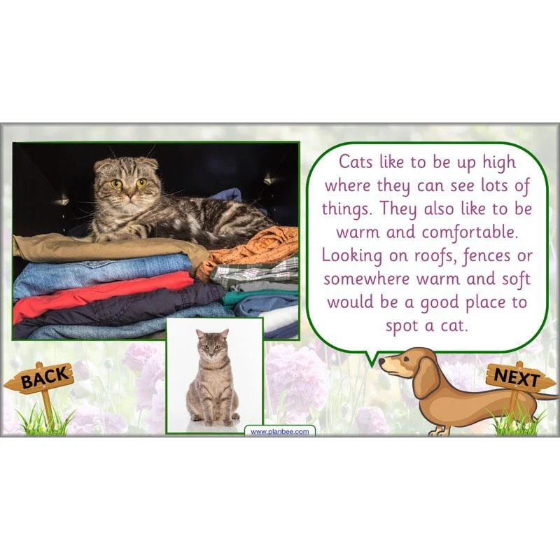 Pets and Gardens - Image 12