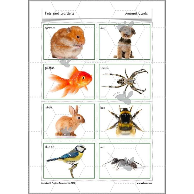 Pets and Gardens - Image 15
