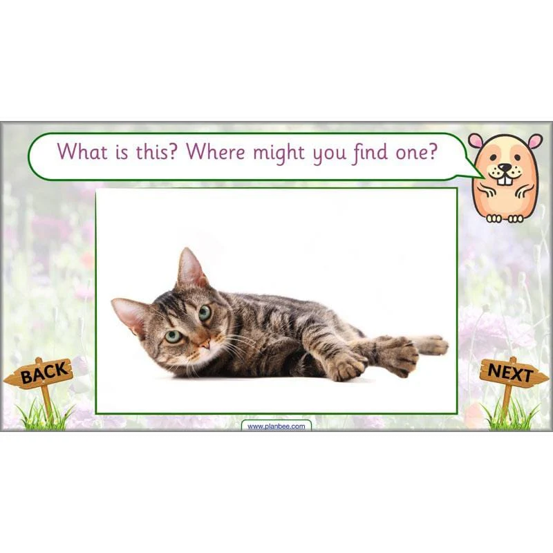 Pets and Gardens - Image 3