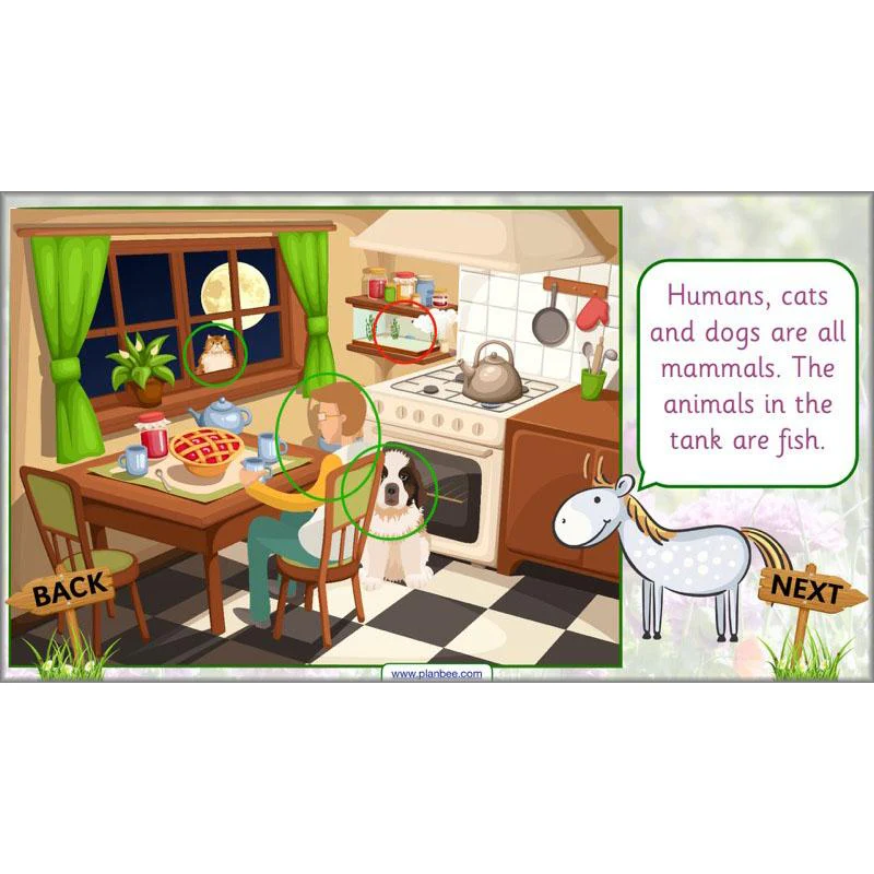 Pets and Gardens - Image 31