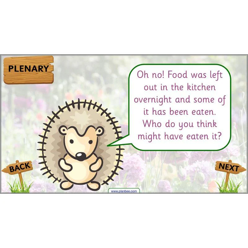 Pets and Gardens - Image 33