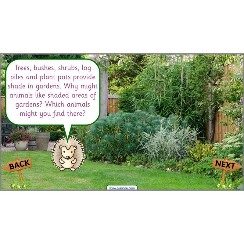 Pets and Gardens - Image 46