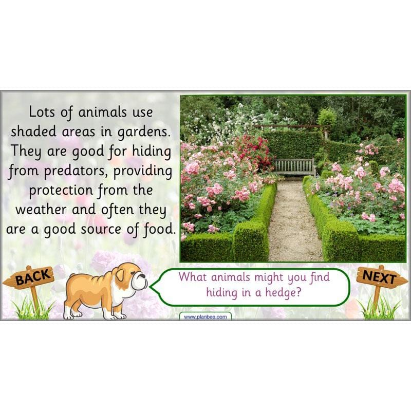 Pets and Gardens - Image 47