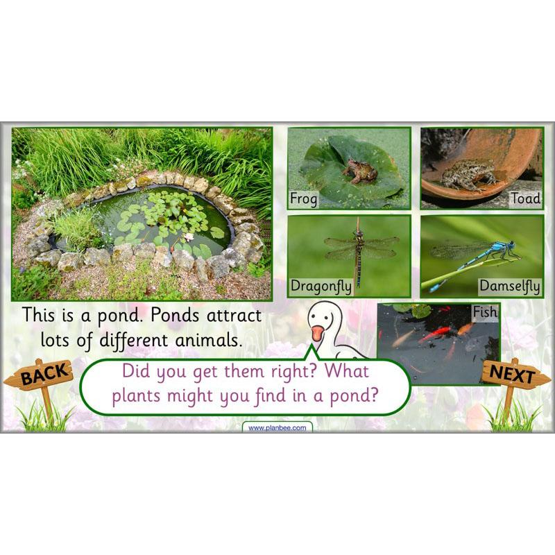 Pets and Gardens - Image 55