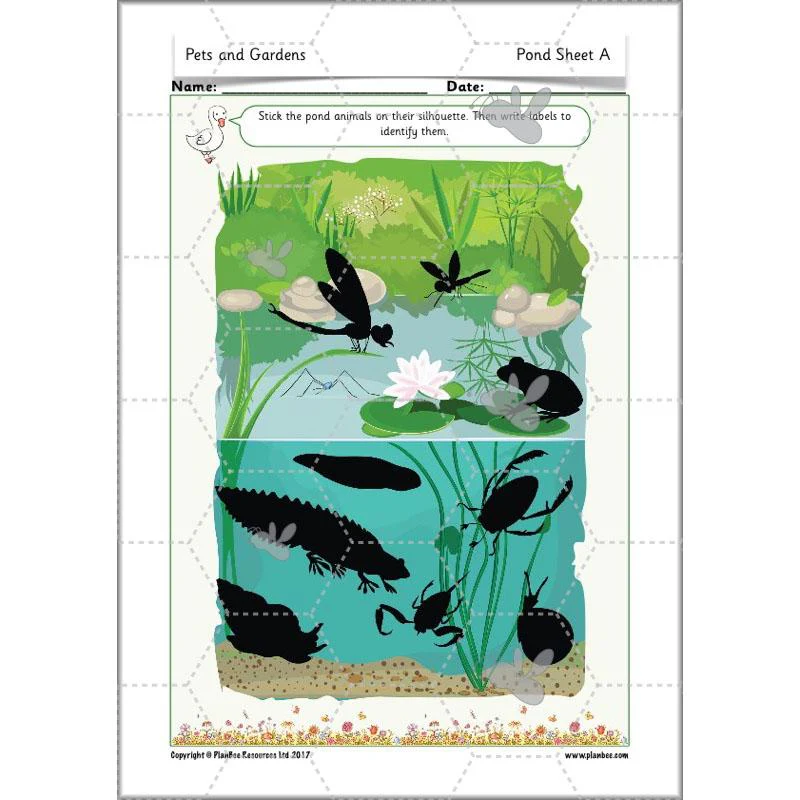 Pets and Gardens - Image 59