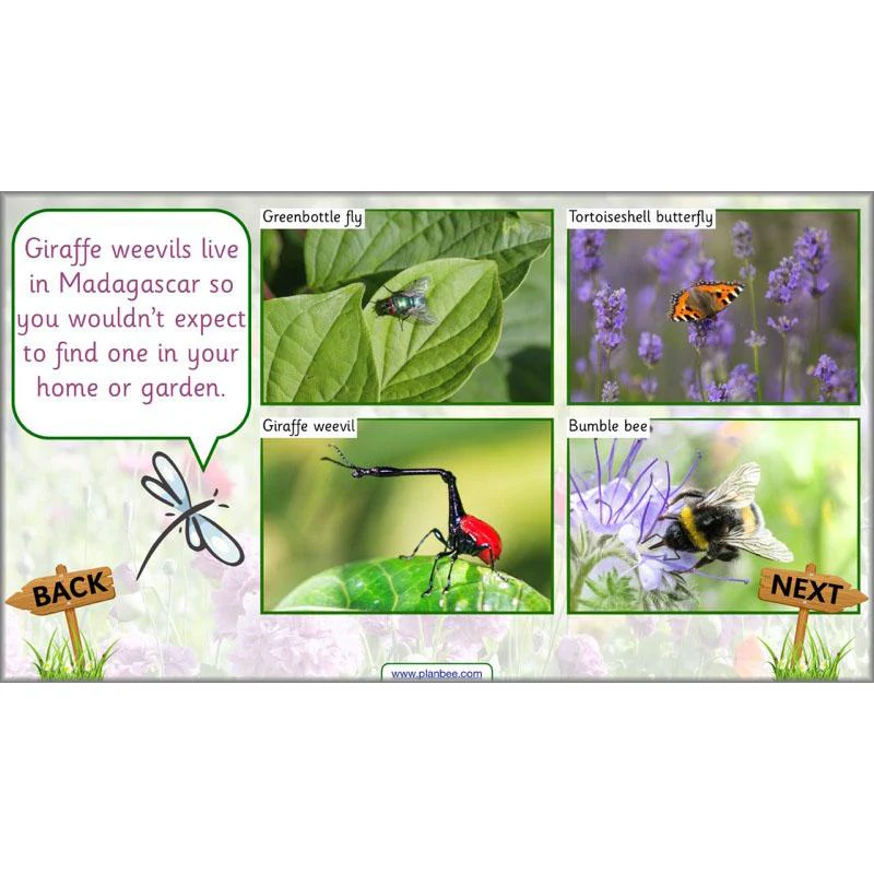 Pets and Gardens - Image 6