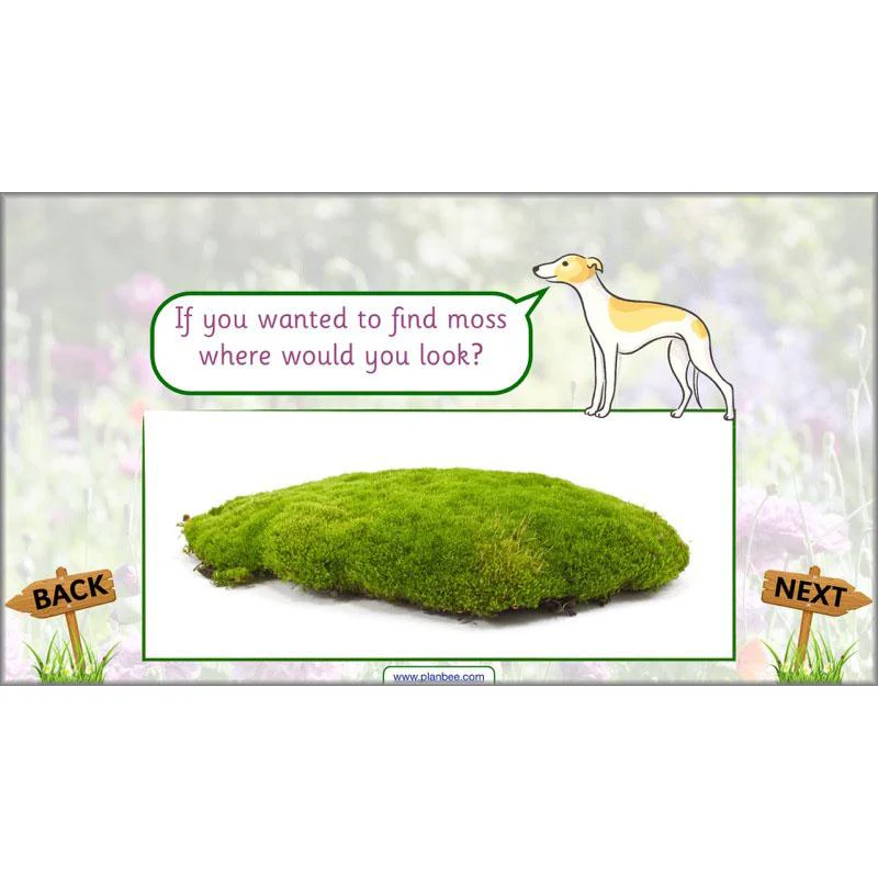 Pets and Gardens - Image 65