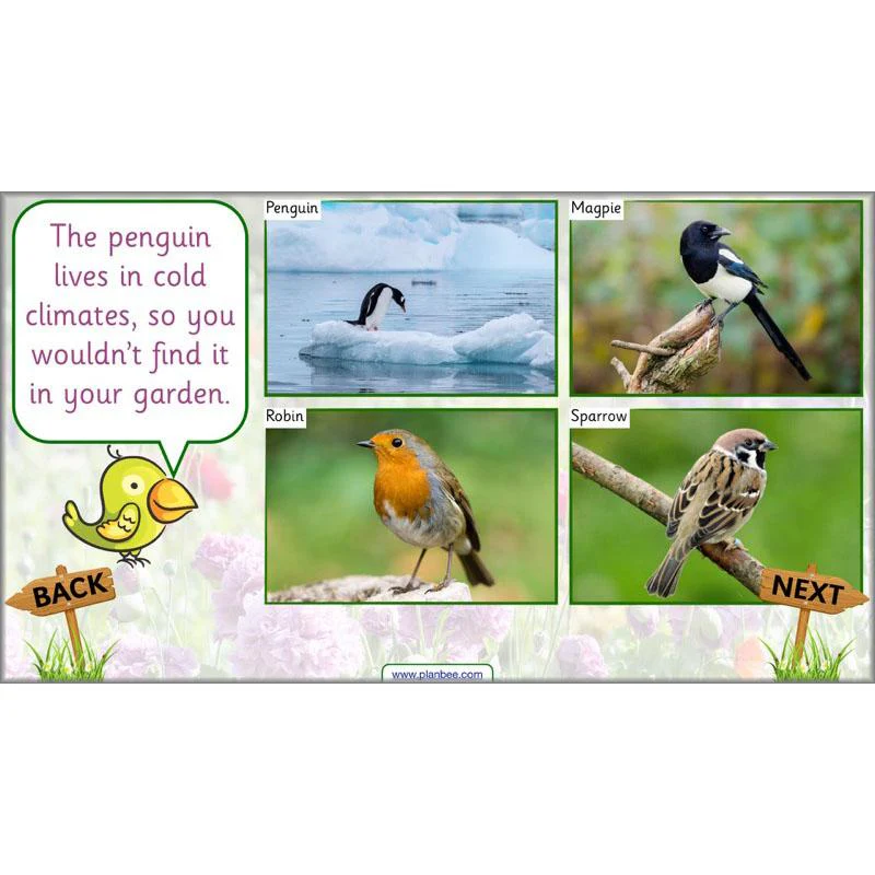 Pets and Gardens - Image 7