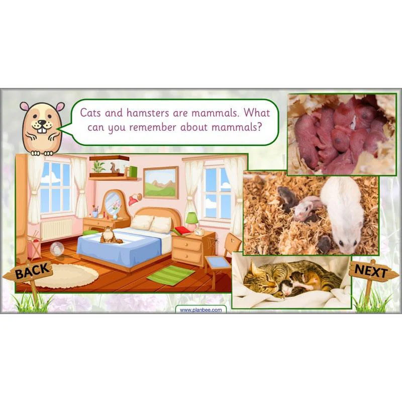 Pets and Gardens - Image 8