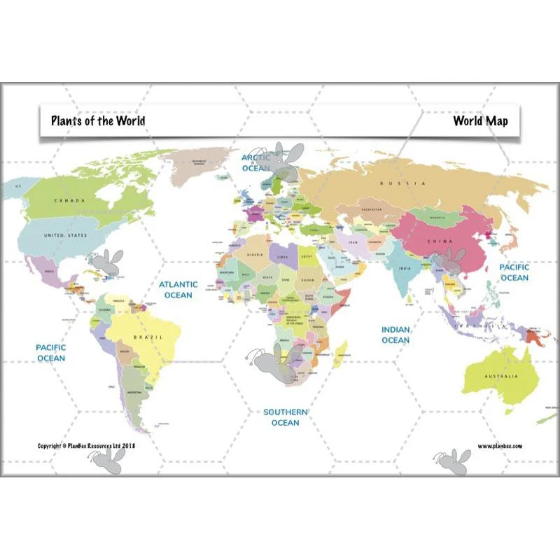 Plants of the World - Image 51