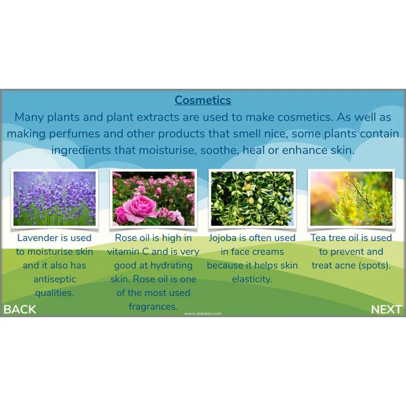 Plants of the World - Image 56