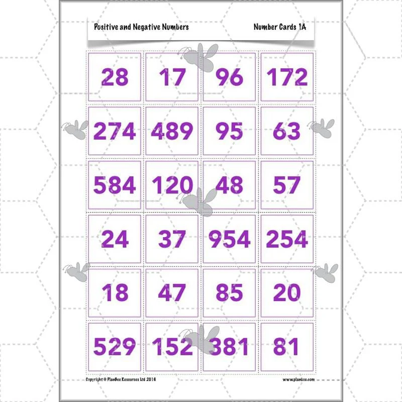 Positive and Negative Numbers - Image 9