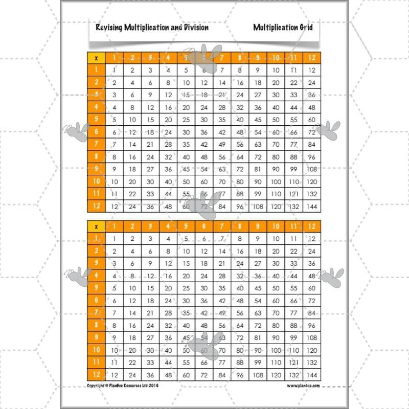 Revising Multiplication and Division - Image 17