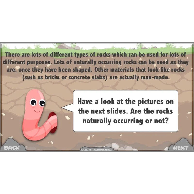Rocks, Fossils and Soils - Image 25