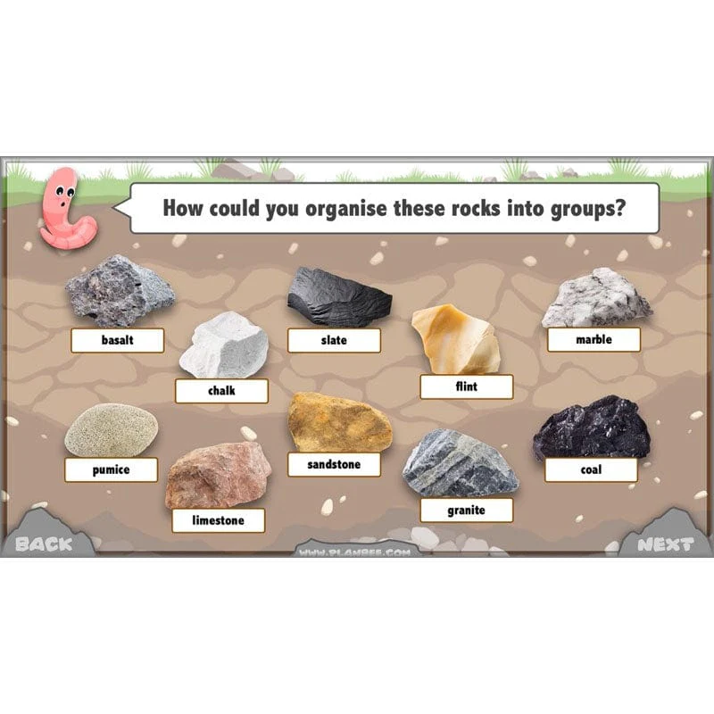 Rocks, Fossils and Soils - Image 32