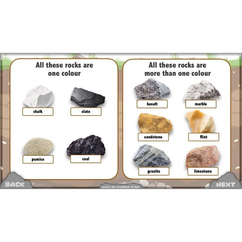 Rocks, Fossils and Soils - Image 33