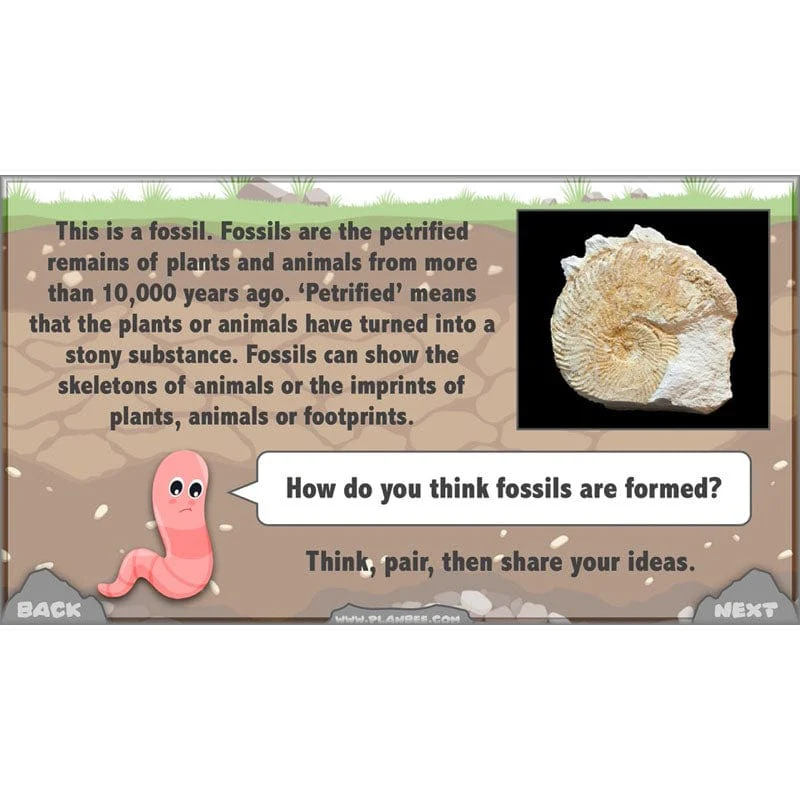Rocks, Fossils and Soils - Image 65