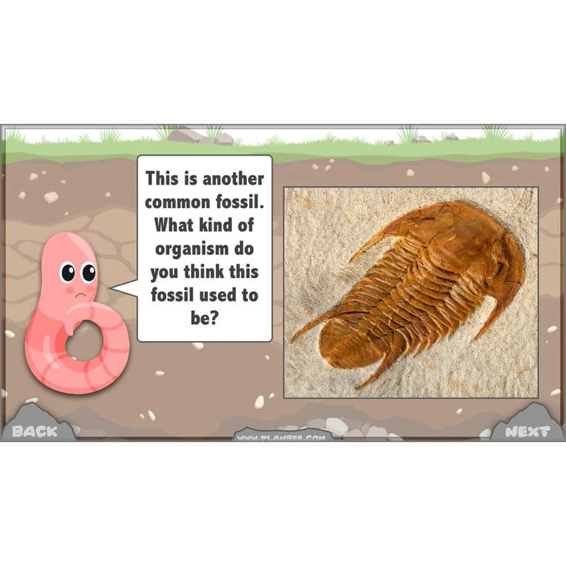 Rocks, Fossils and Soils - Image 73
