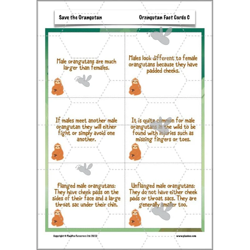 Save the Orangutan - Image 11