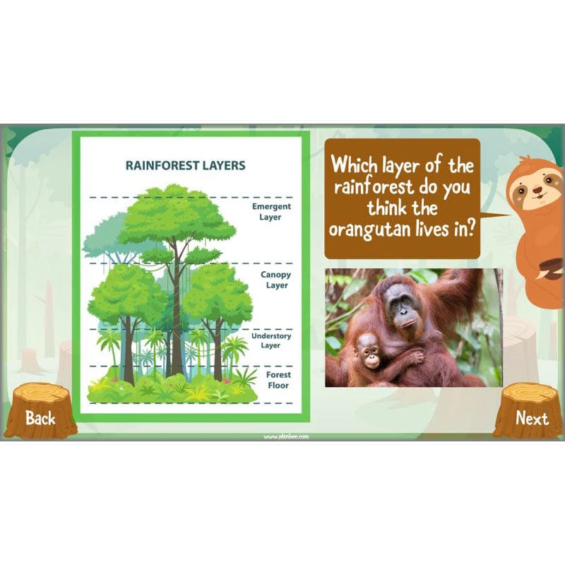 Save the Orangutan - Image 40