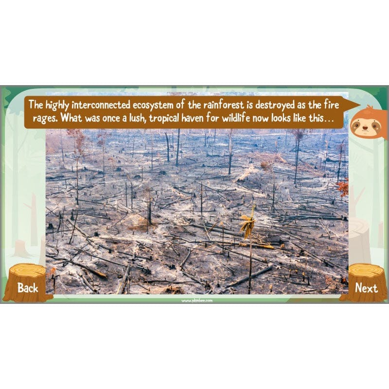 Save the Orangutan - Image 47