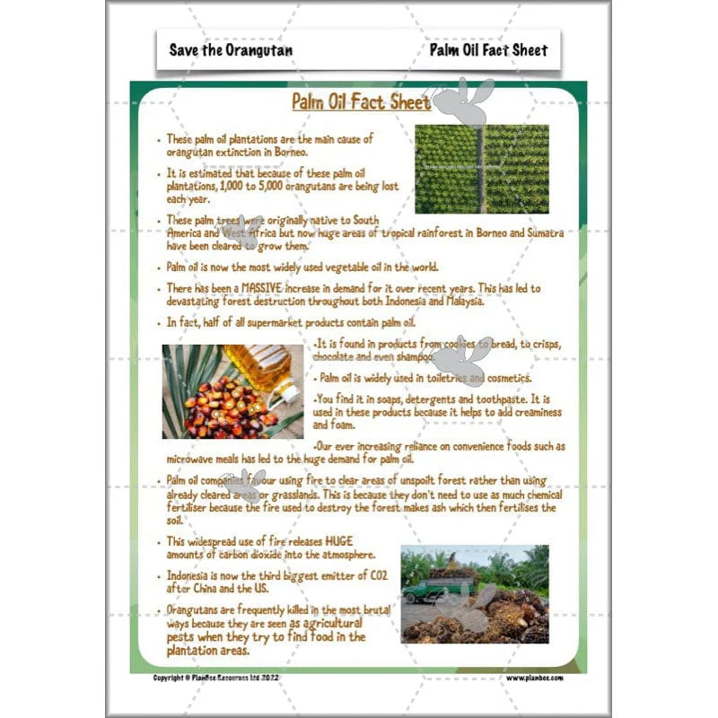 Save the Orangutan - Image 49