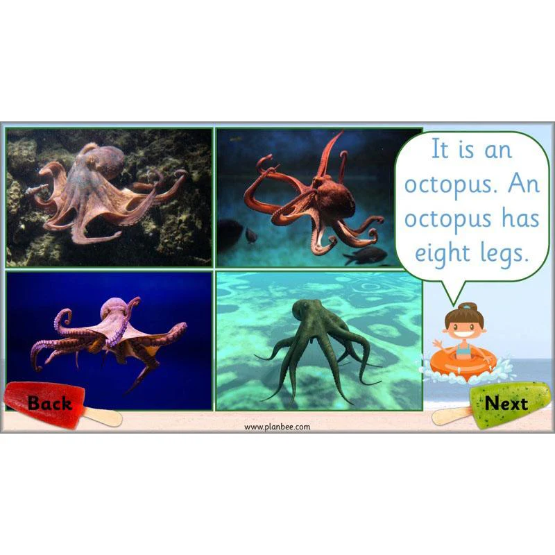 Seaside Snacks - Image 48