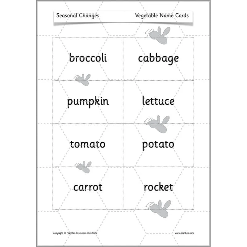 Seasonal Changes - Image 14