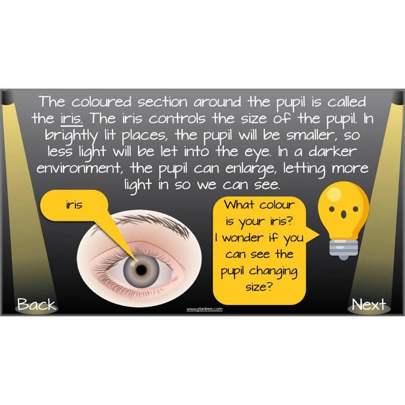 Seeing Light - Image 45