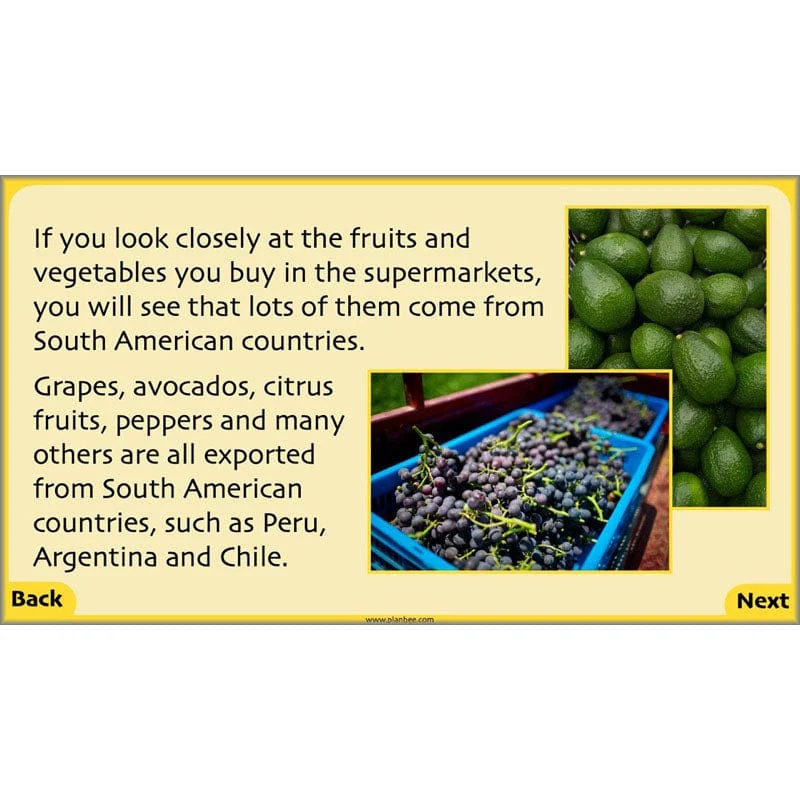 South America - Image 59