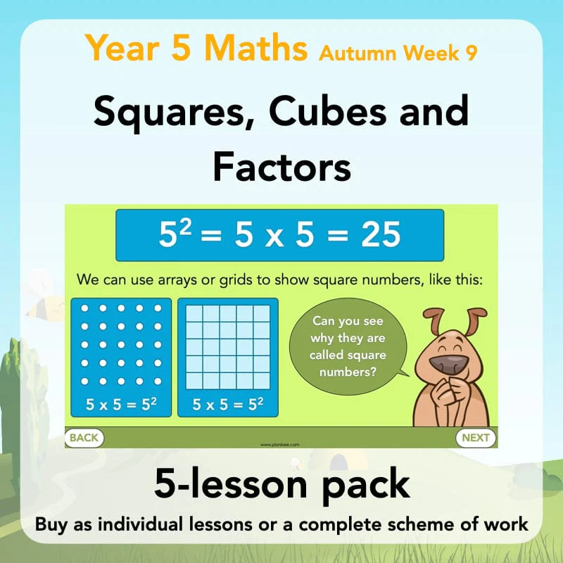 Squares, Cubes and Factors