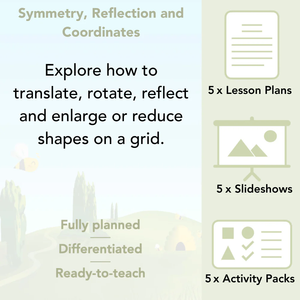 Symmetry, Reflection and Coordinates - Image 2