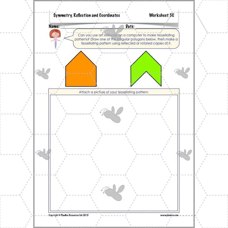 Symmetry, Reflection and Coordinates - Image 22