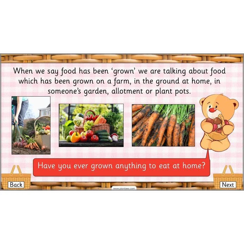 Teddy Bear's Picnic - Image 24