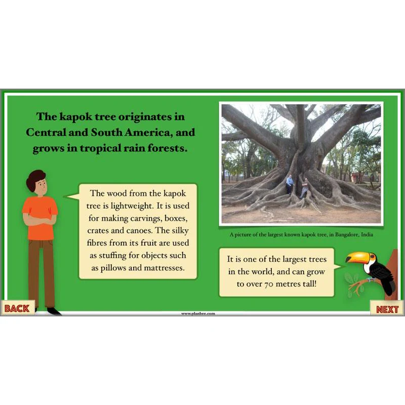 The Great Kapok Tree: Persuasive Writing - Image 23