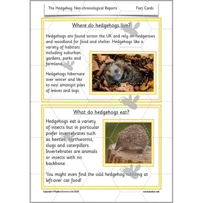 The Hodgeheg: Non-chronological Reports - Image 10